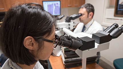Pathologists looking through a microscope.