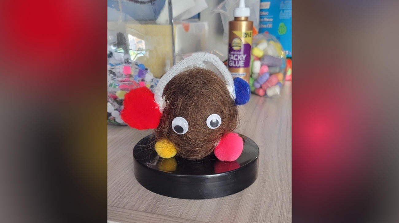 When Ariella began losing her hair during chemotherapy, she started creating rock-like creatures with her hair as a way to cope. 