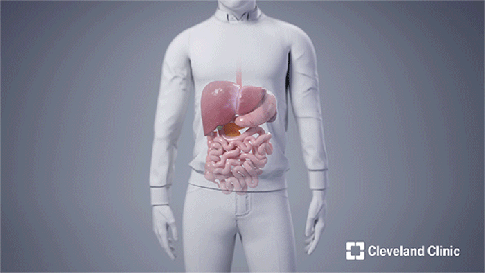 Andy Voge received the following deceased donor’s organs all together and at the same time: liver, stomach, pancreaticoduodenal complex, spleen, small intestine and right colon.