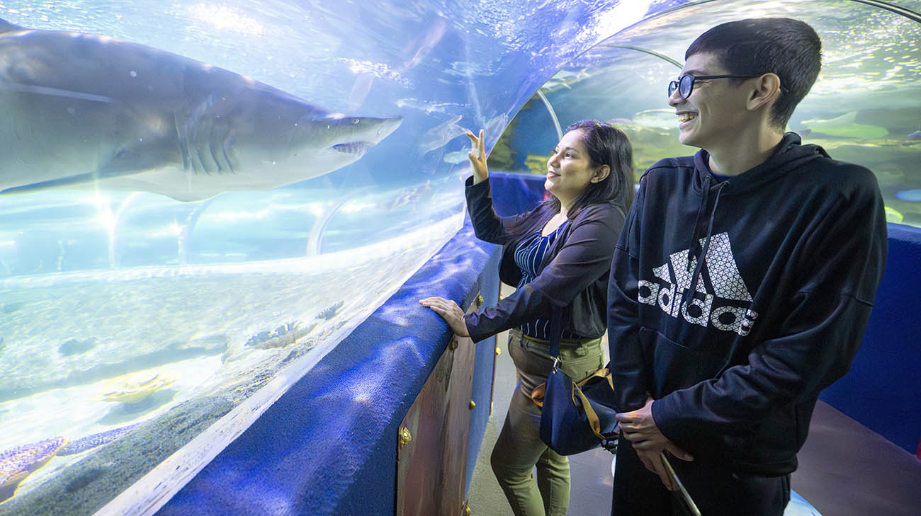 Gerson and his mother visited the aquarium in Cleveland, Ohio. 