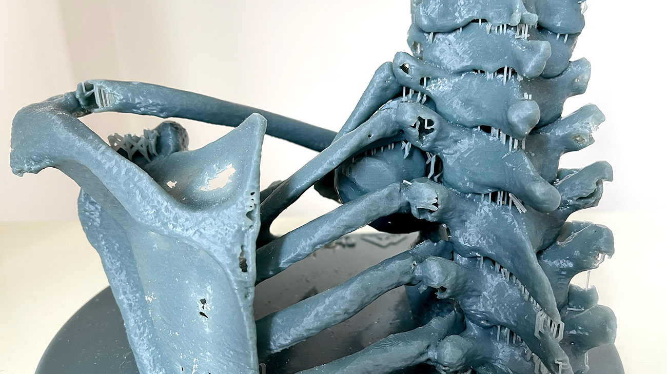 Alex 3D print