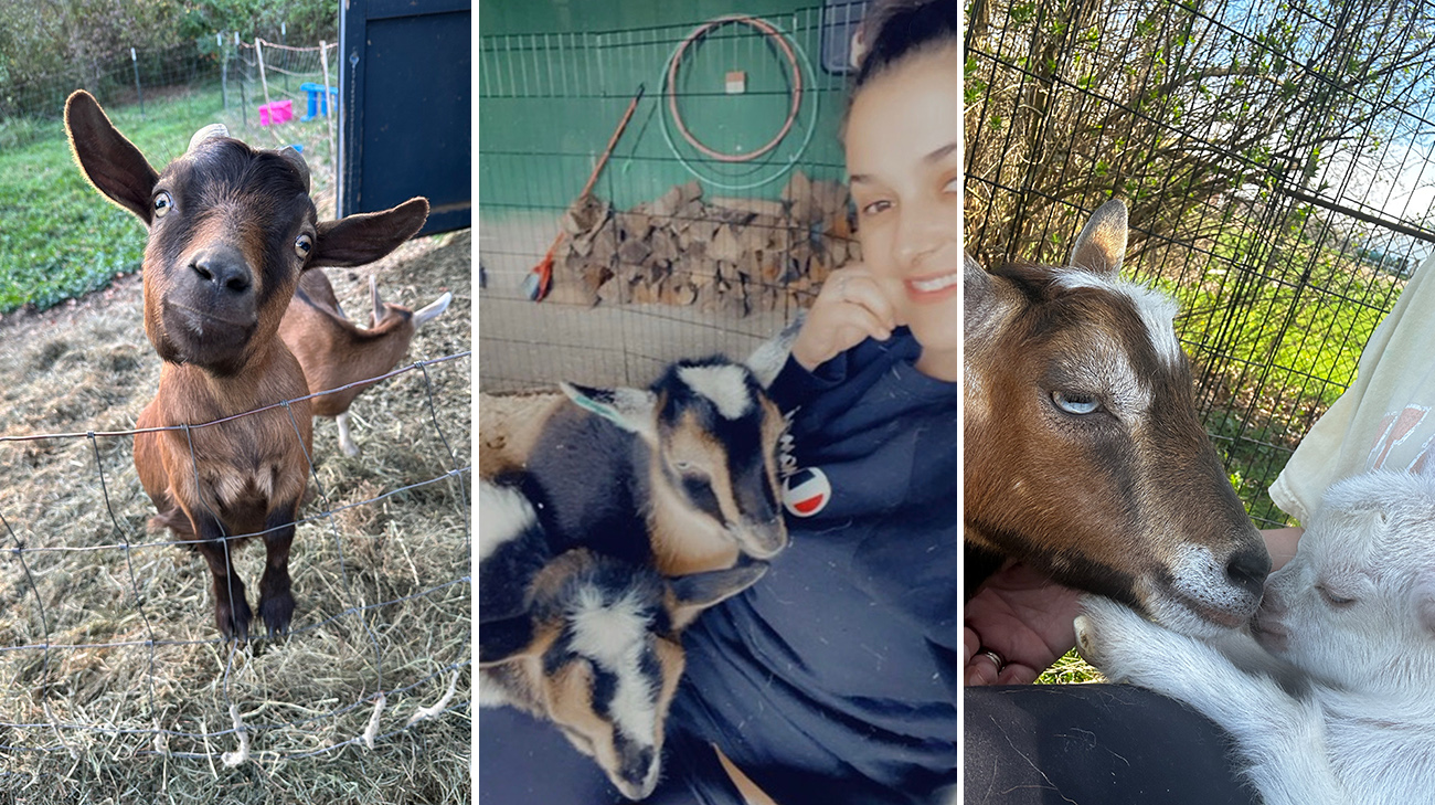 Hayley with goats.