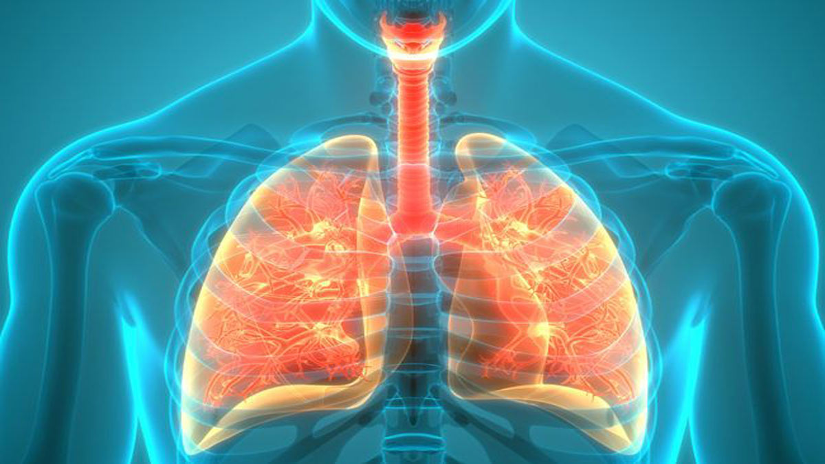 Respiratory Lung