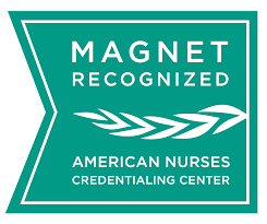 Journey to Magnet Excellence Logo