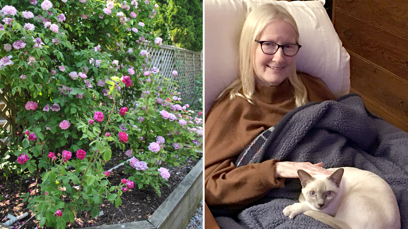 Corky's rose garden as well as Corky and her cat. 